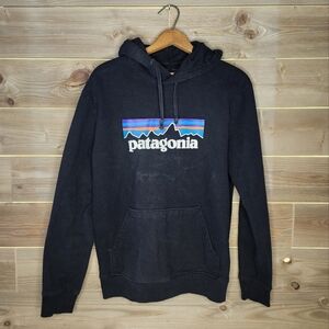 Patagonia Hooded Sweatshirt